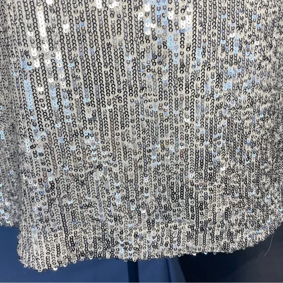 NWT Silver, and cream, Eliza J, double layered sequence dress - Picture 9 of 13